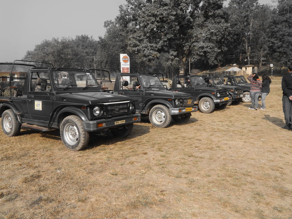 Photo of All Inclusive Kanha Wildlife Trip at just Rs.10,999 by Happy Journey