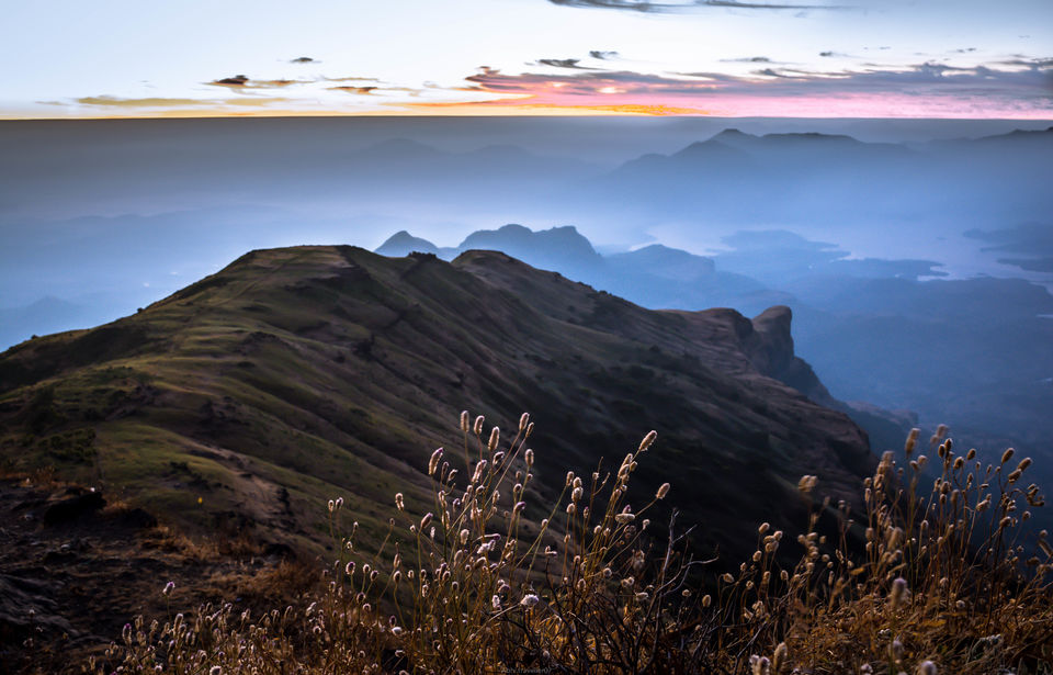 Photo of An unplanned trek 5/35 by abhishek singh