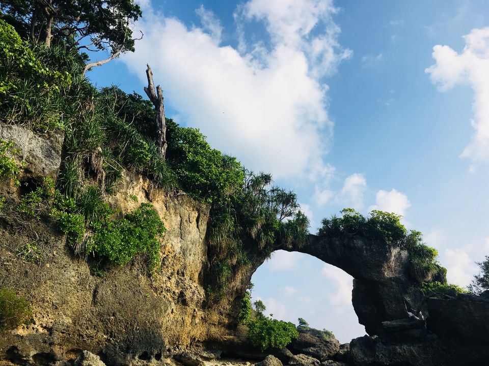 Photo of Journey Of A Solo Traveller To Astounding Andaman Islands. by Rishi Gautam