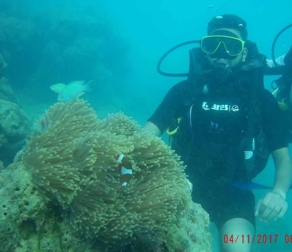 Photo of Havelock Island, South Andaman, Andaman and Nicobar Islands, India by Rishi Gautam