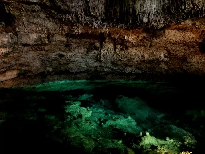 Photo of Cenote, Yucatan, Mexico by Devika Maheshwari