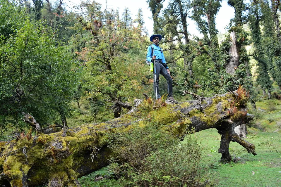Photo of Wan, Uttarakhand, India by Yasin Ahmad