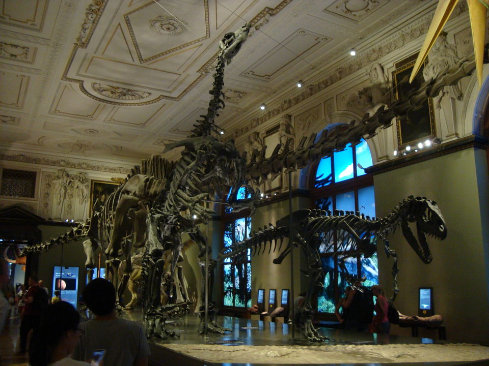 Photo of Austria - Vienna&nbsp; 19/34 by Matthew Nyíri