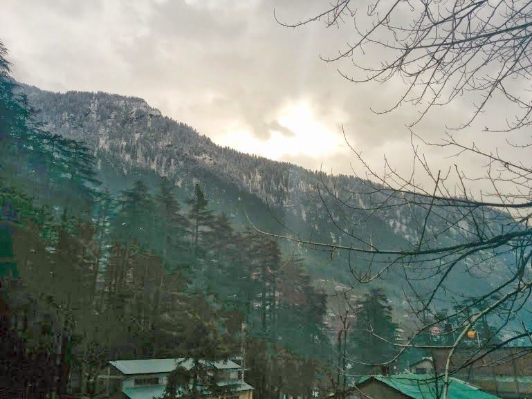 Photo of Travel chronicles – Himachal Pradesh, March 2014 1/16 by Natasha Virdi