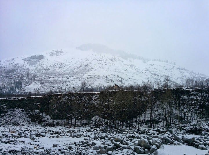 Photo of Travel chronicles – Himachal Pradesh, March 2014 3/16 by Natasha Virdi