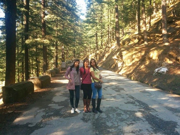 Photo of Travel chronicles – Himachal Pradesh, March 2014 9/16 by Natasha Virdi