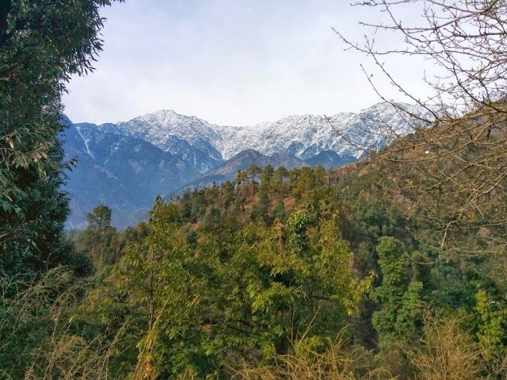 Photo of Travel chronicles – Himachal Pradesh, March 2014 15/16 by Natasha Virdi