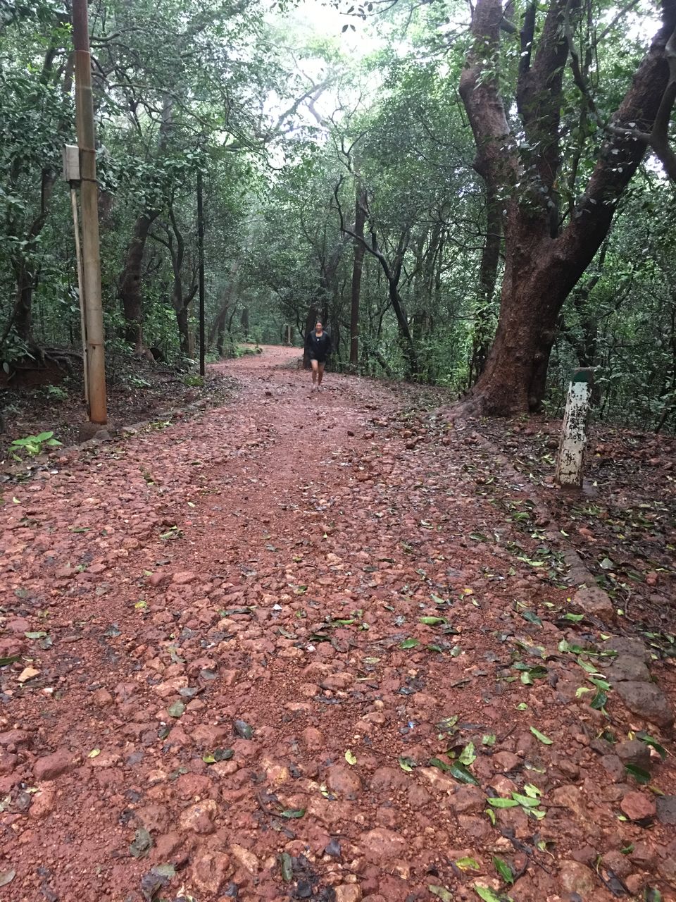 Photo of Travel Chronicles, Matheran, August 2017 2/5 by Natasha Virdi