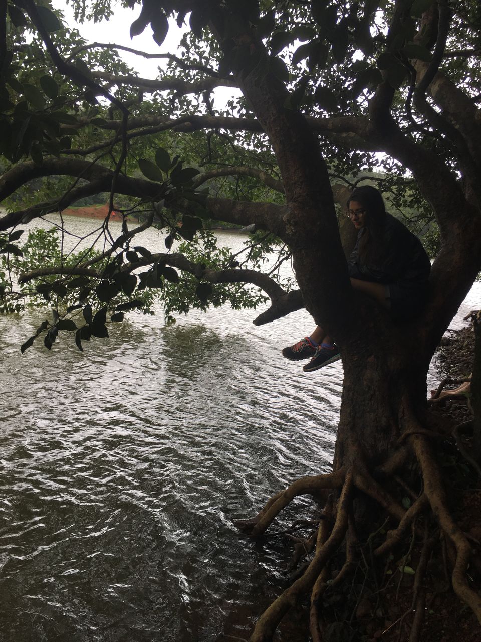 Photo of Travel Chronicles, Matheran, August 2017 4/5 by Natasha Virdi