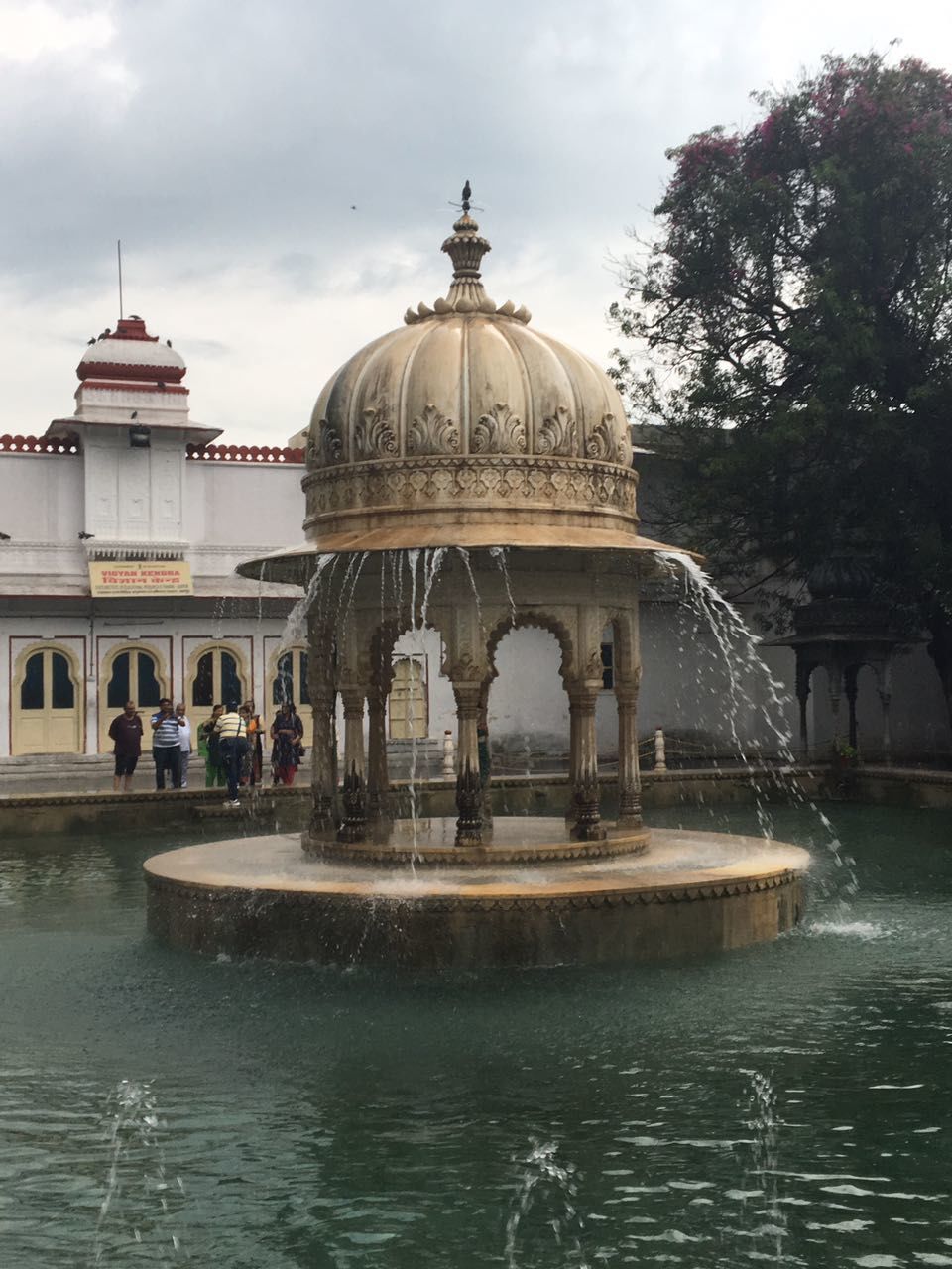Photo of My favorite travel story of the year, Udaipur, July 2017 3/16 by Natasha Virdi