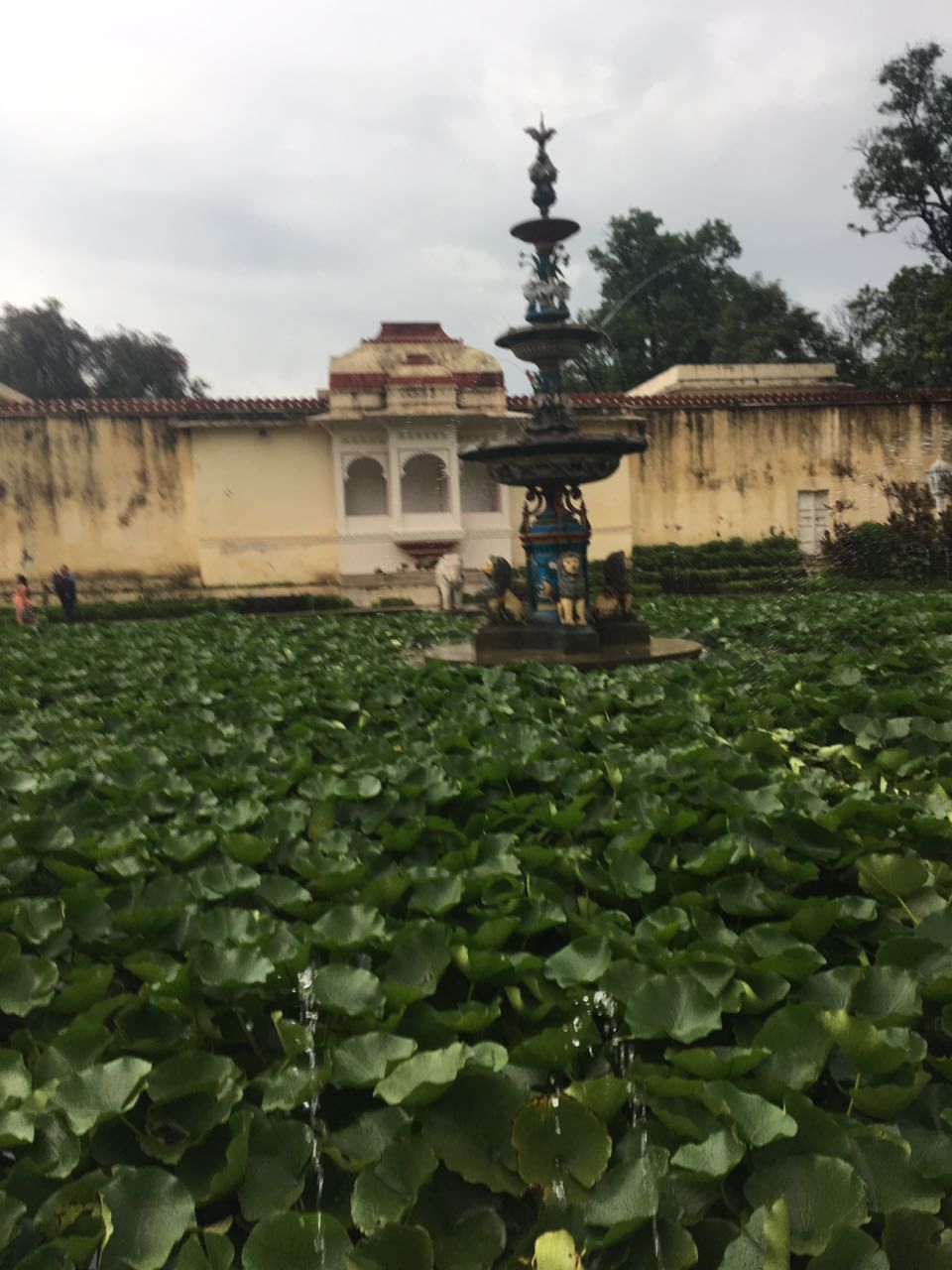 Photo of My favorite travel story of the year, Udaipur, July 2017 4/16 by Natasha Virdi