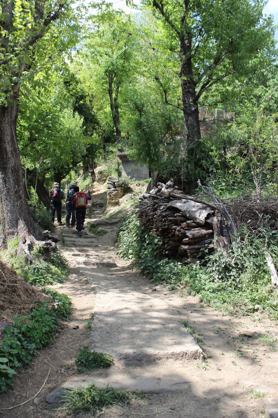 Photo of Saurkundi Pass - A Trail offers you to enjoy the timeless beauty of Kullu valley by Rishi Datta