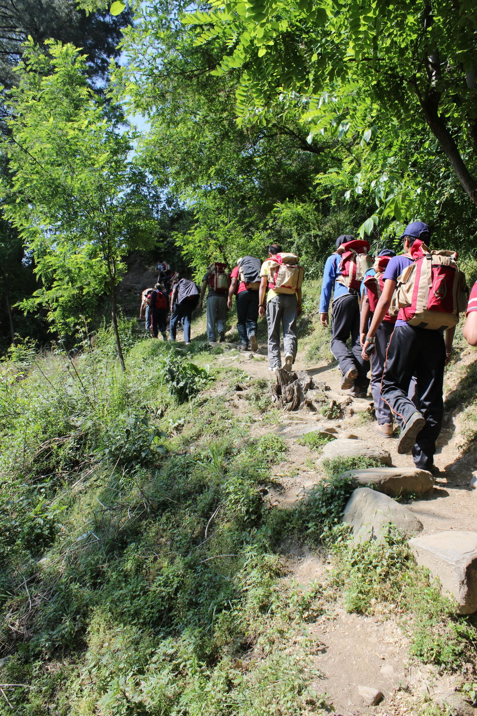 Photo of Saurkundi Pass - A Trail offers you to enjoy the timeless beauty of Kullu valley by Rishi Datta