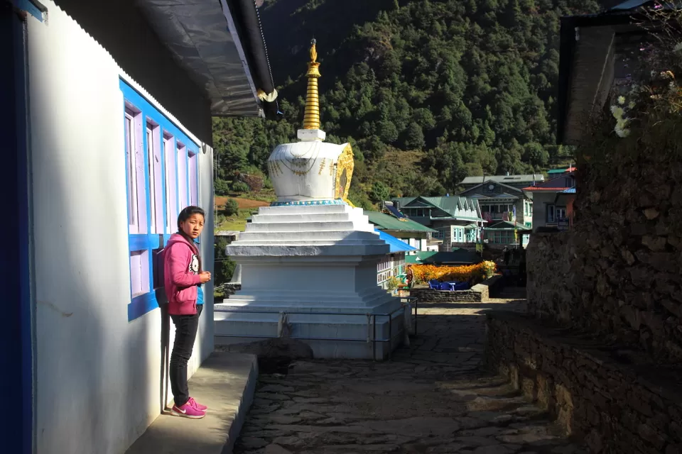 Photo of Everest Base Camp - path to the top of the world by Rishi Datta