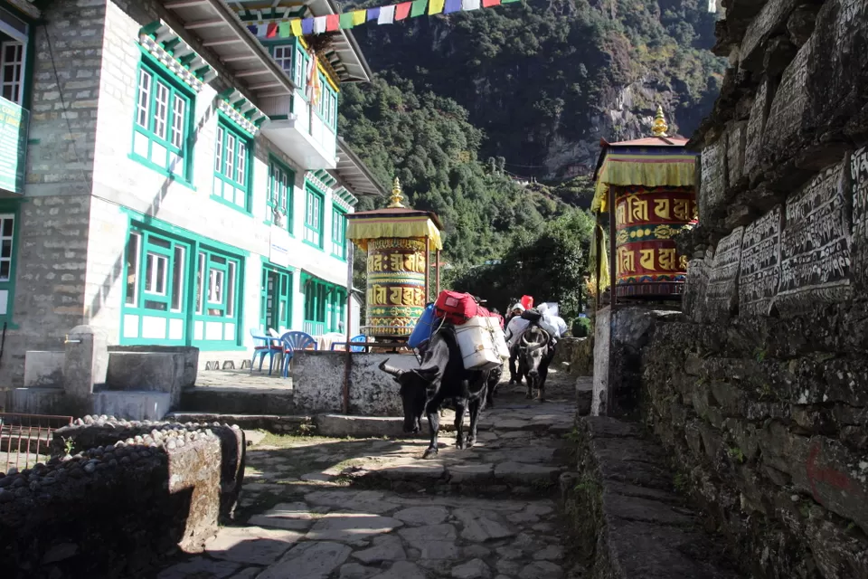 Photo of Everest Base Camp - path to the top of the world by Rishi Datta