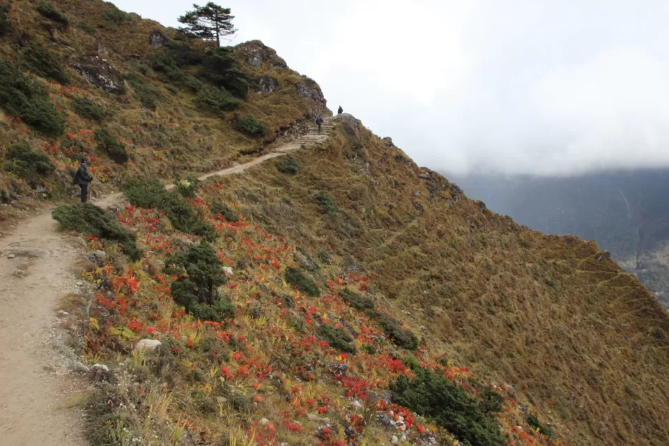 Photo of Everest Base Camp - path to the top of the world by Rishi Datta