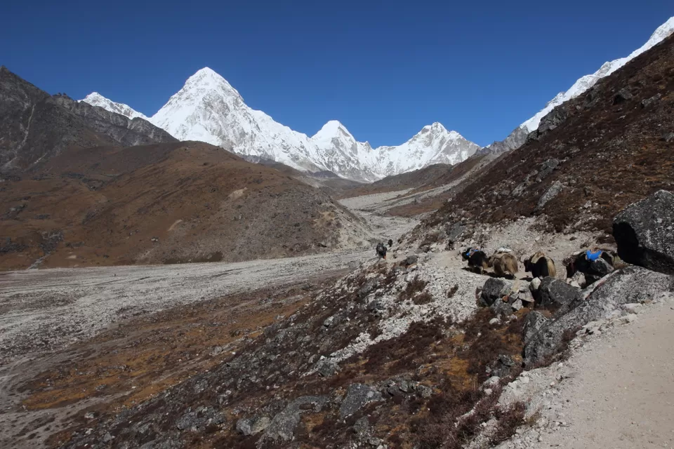 Photo of Everest Base Camp - path to the top of the world by Rishi Datta