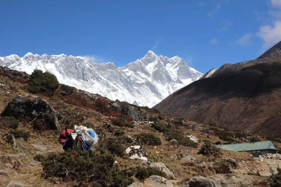 Photo of Everest Base Camp - path to the top of the world by Rishi Datta