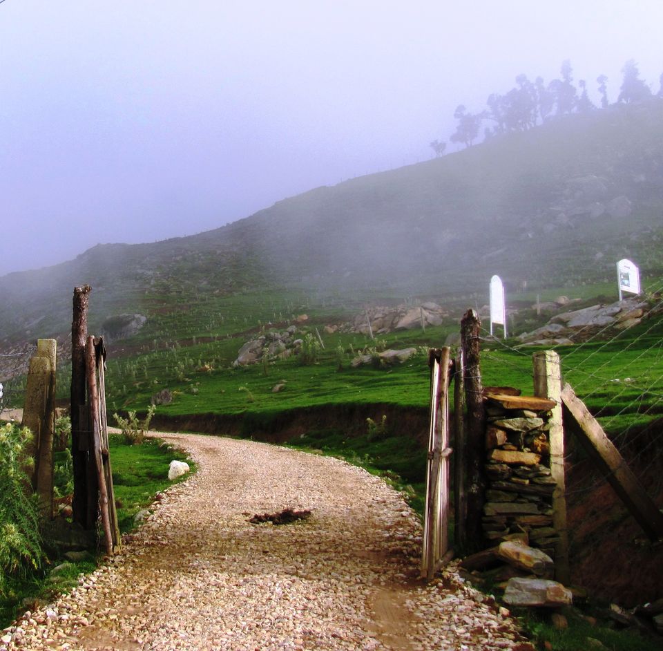Photo of Mysterious yet peaceful !! Explored yet virgin is this place… 1/6 by Manu K K Verma