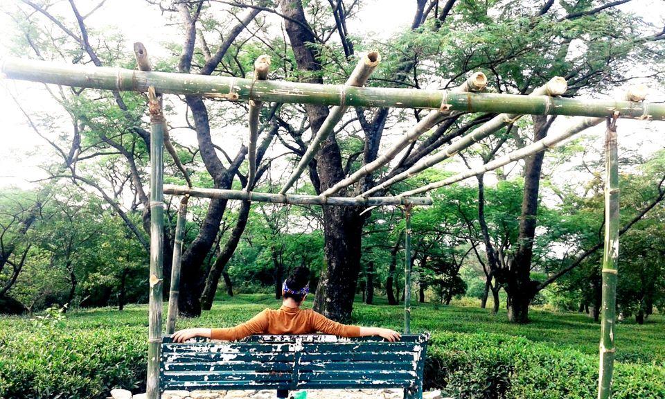 Photo of For nature lovers..It is crime to miss any of these !! 6/6 by Manu K K Verma