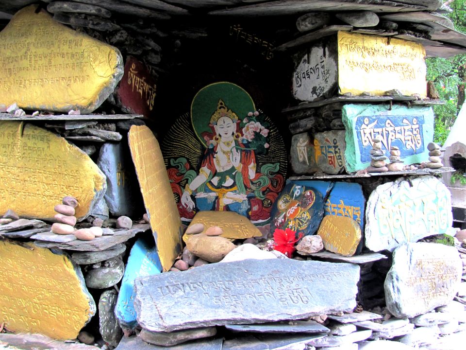 Photo of Want to study art and culture in the land of Lamas?? Go for this place 12/14 by Manu K K Verma