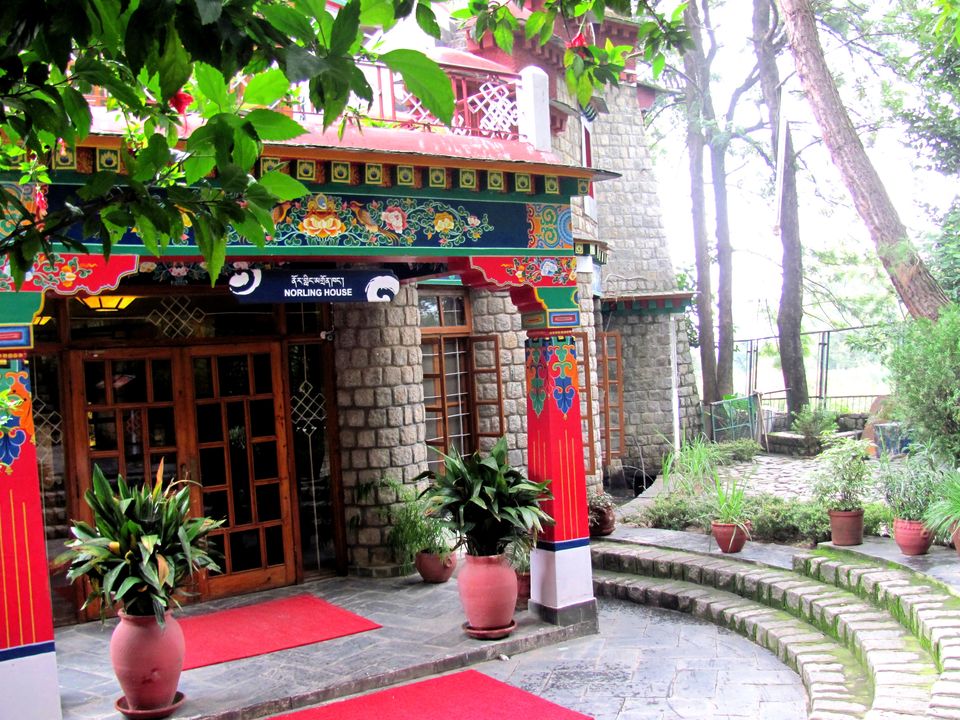 Photo of Want to study art and culture in the land of Lamas?? Go for this place 11/14 by Manu K K Verma