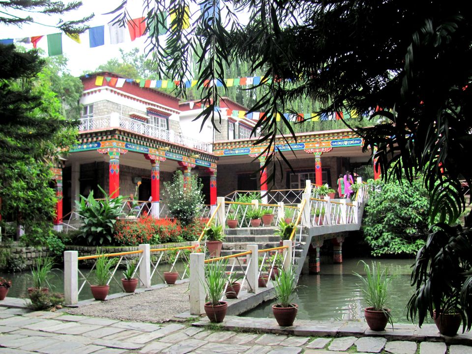 Photo of Want to study art and culture in the land of Lamas?? Go for this place 14/14 by Manu K K Verma