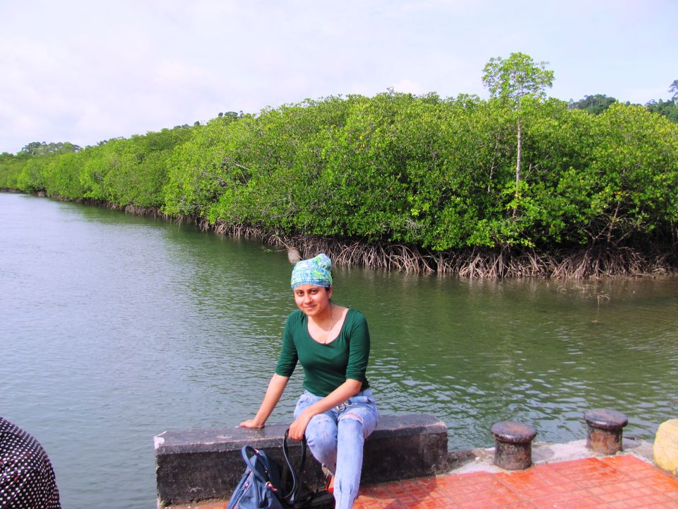 Photo of Poser's Special - 5 picture perfect places in and around Port Blair ;) 5/11 by Manu K K Verma