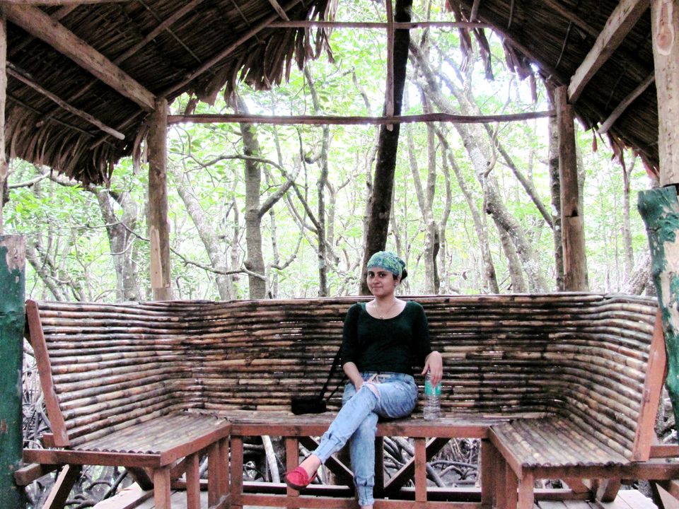 Photo of Poser's Special - 5 picture perfect places in and around Port Blair ;) 7/11 by Manu K K Verma