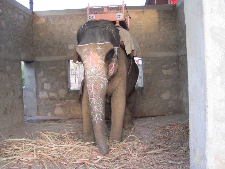 Photo of Offbeat, Overrated, but a big NO in my opinion 1/2 by Manu K K Verma