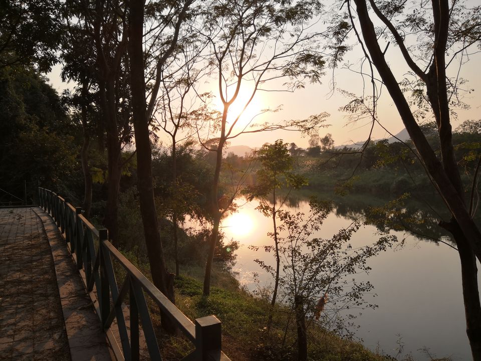 Photo of Palmwoods Retreat, Pune, Maharashtra, India by theuncanny_traveller