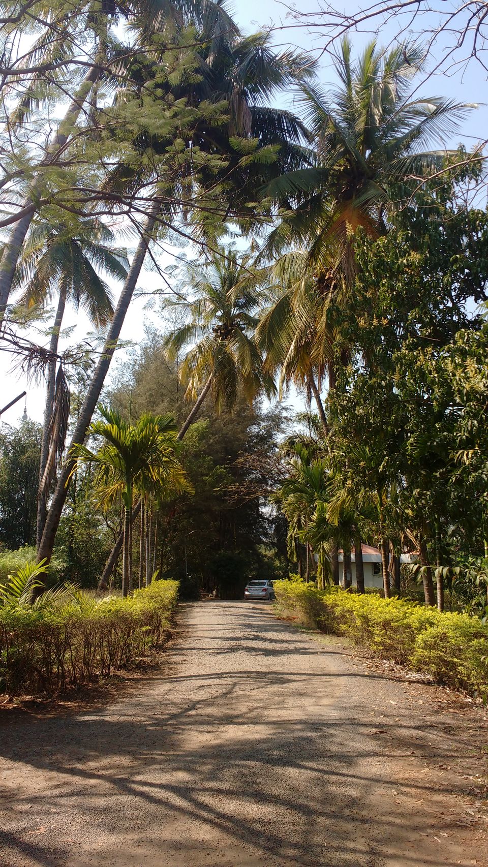 Photo of Palmwoods Retreat, Pune, Maharashtra, India by theuncanny_traveller