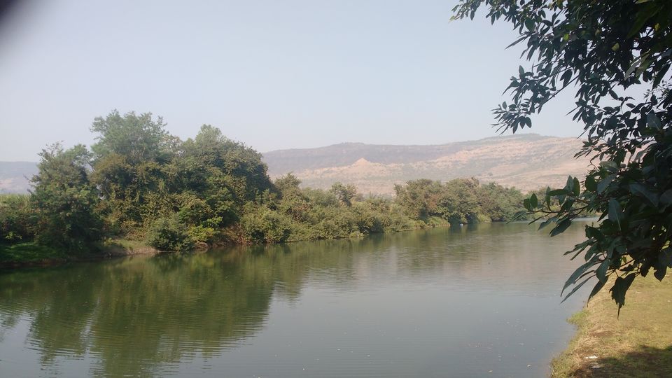 Photo of Palmwoods Retreat, Pune, Maharashtra, India by theuncanny_traveller