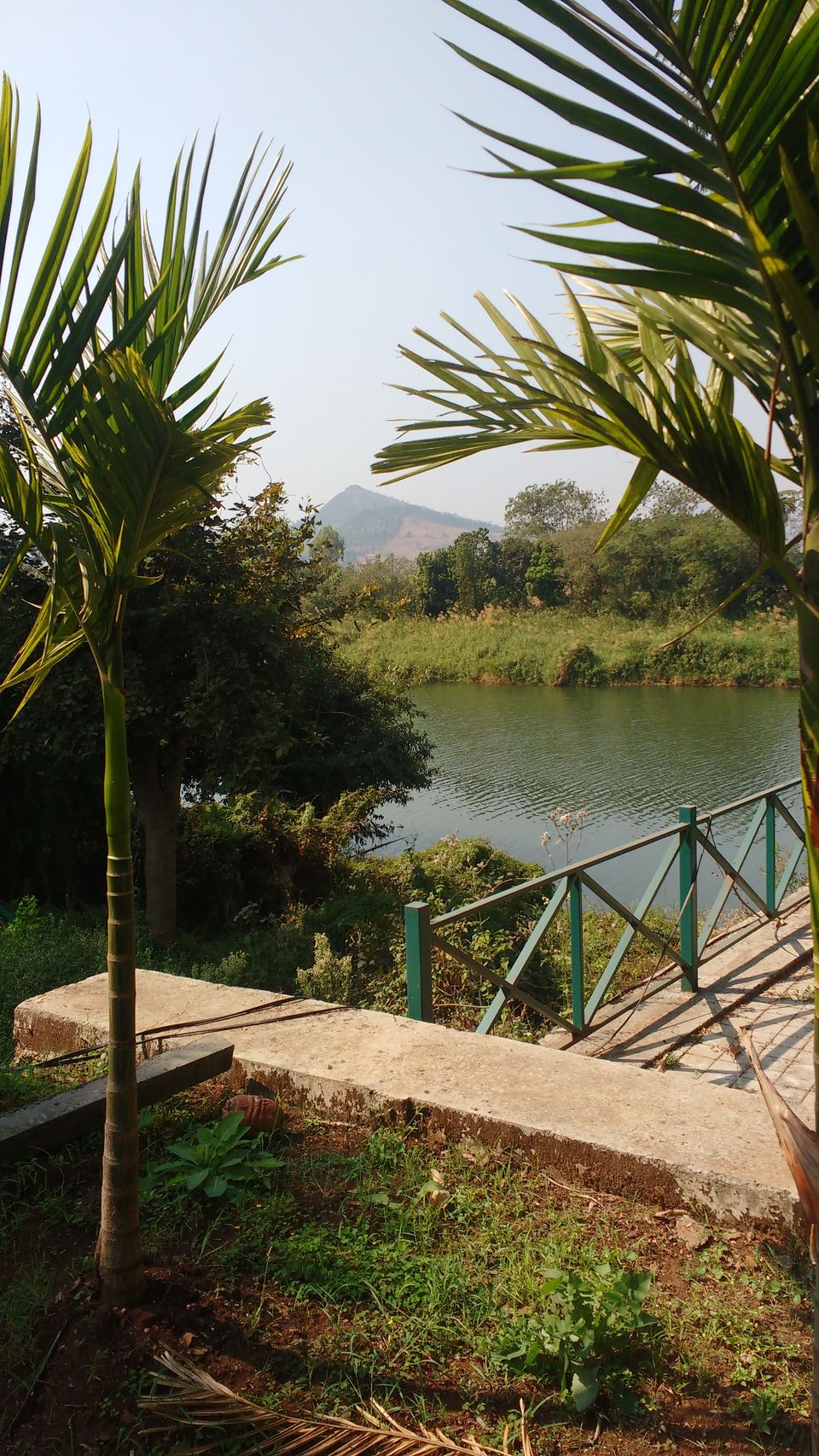Photo of Palmwoods Retreat, Pune, Maharashtra, India by theuncanny_traveller