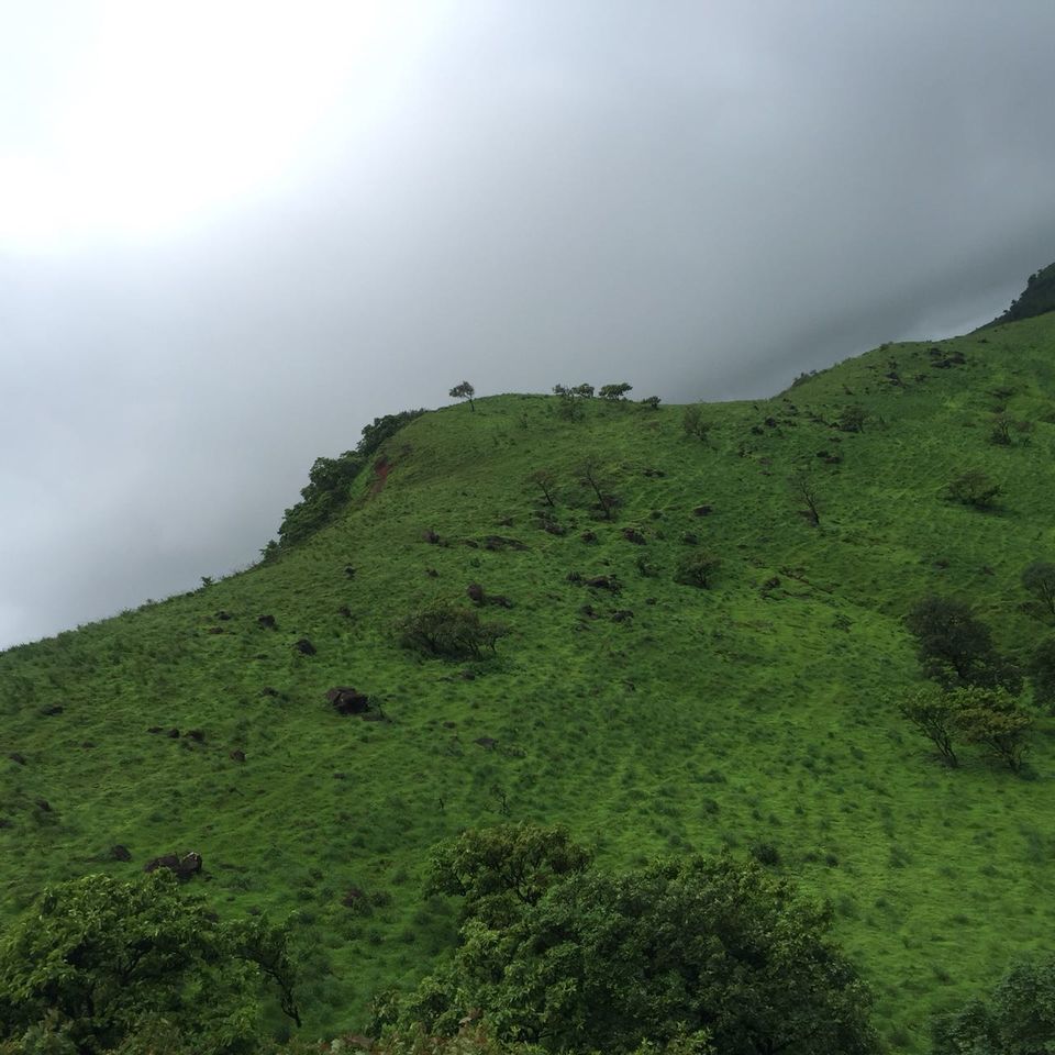 Photo of The unexplored Pabe Ghat by theuncanny_traveller