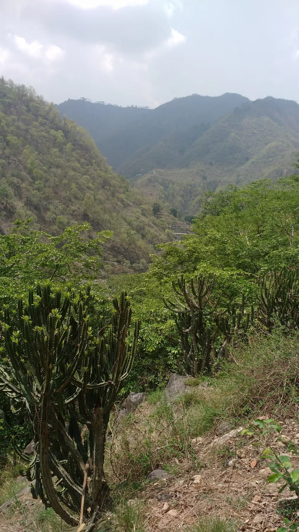 Photo of camp eagles nest, Singtali, Uttarakhand, India by theuncanny_traveller