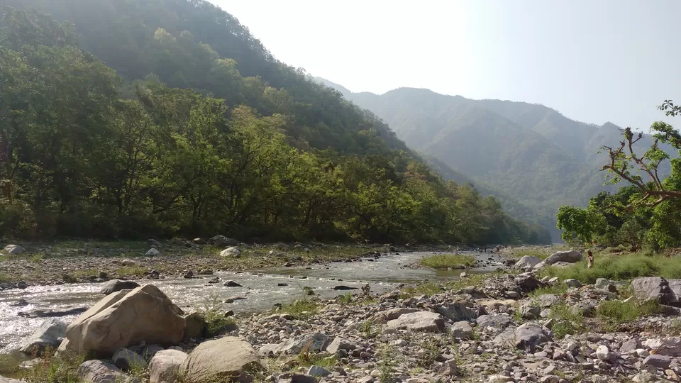 Photo of Wildex Camp Rishikesh, Phool Chatti, Neelkanth Temple Road, Rishikesh, Uttarakhand, India by theuncanny_traveller