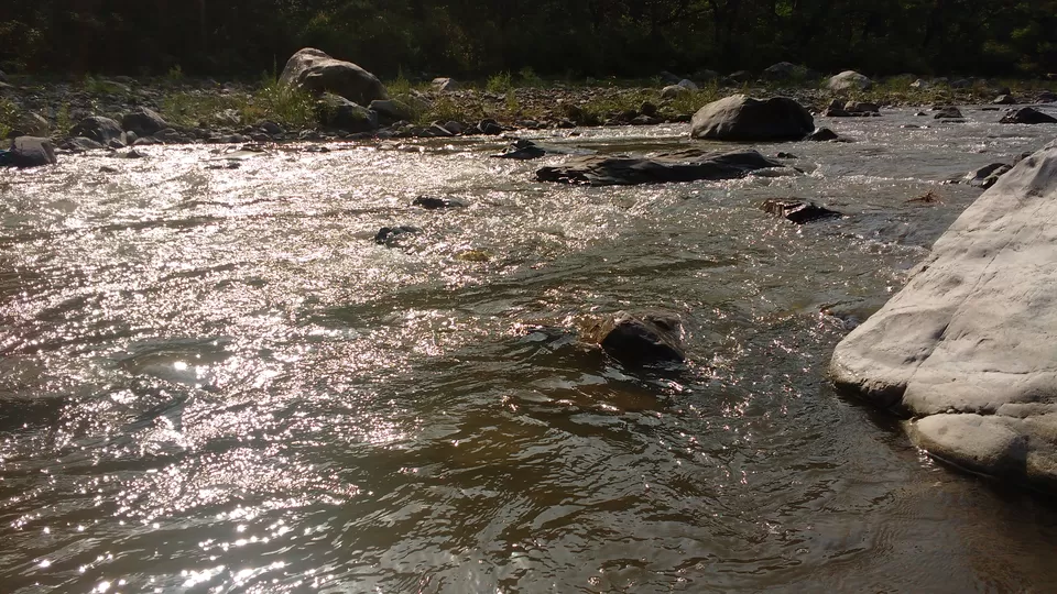 Photo of Wildex Camp Rishikesh, Phool Chatti, Neelkanth Temple Road, Rishikesh, Uttarakhand, India by theuncanny_traveller