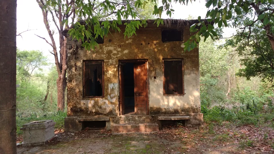 Photo of Beatles Ashram, Swarg Ashram, Rishikesh, Uttarakhand, India by theuncanny_traveller
