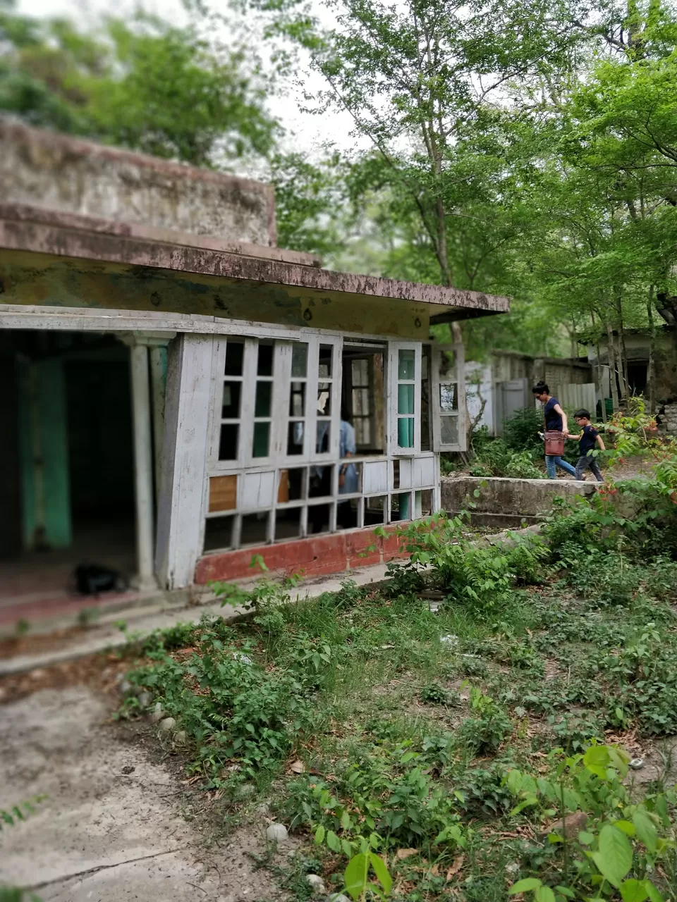 Photo of The Beatle's Ashram, Swarg Ashram, Rishikesh, Uttarakhand, India by theuncanny_traveller