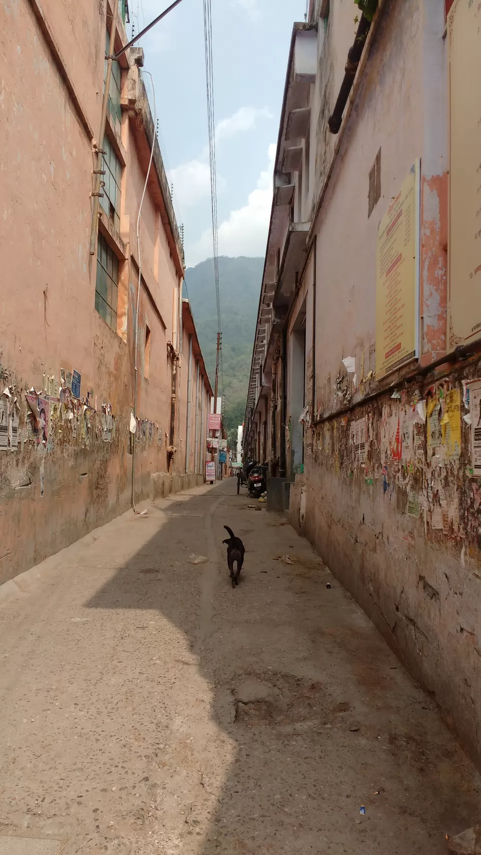 Photo of Rishikesh, Uttarakhand, India by theuncanny_traveller