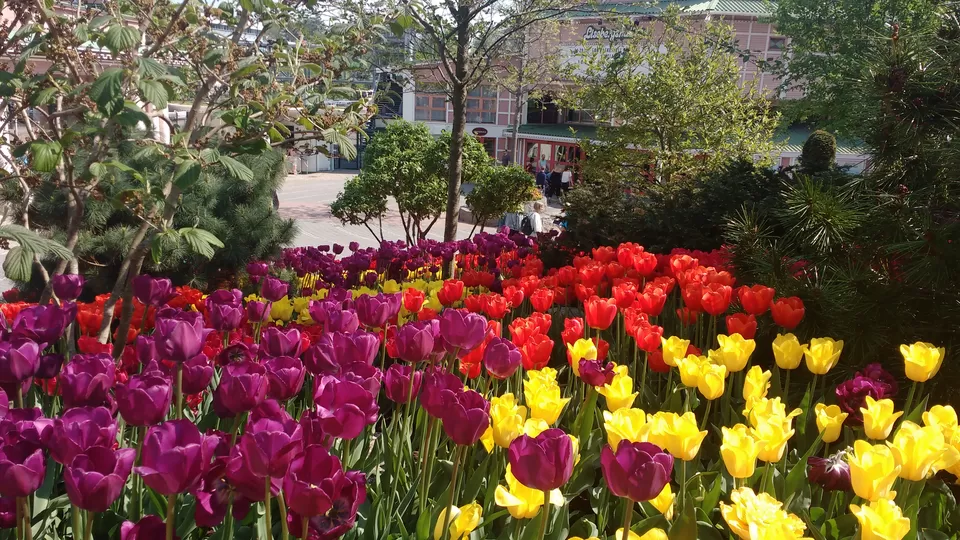 Photo of Liseberg Park, Gothenburg, Sweden by theuncanny_traveller