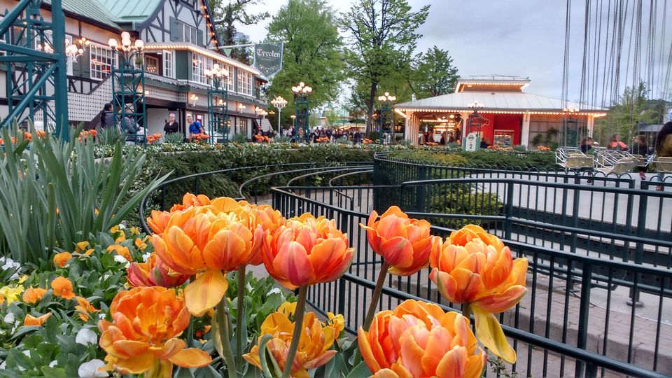 Photo of Liseberg Amusement Park #GothenburgSweden by theuncanny_traveller
