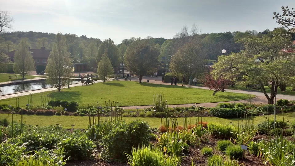 Photo of Göteborg Botaniska Trädgården, Gothenburg, Sweden by theuncanny_traveller