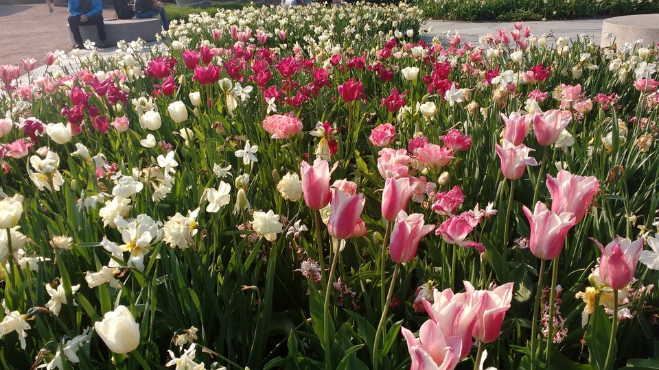 Photo of Göteborg Botaniska Trädgården, Gothenburg, Sweden by theuncanny_traveller