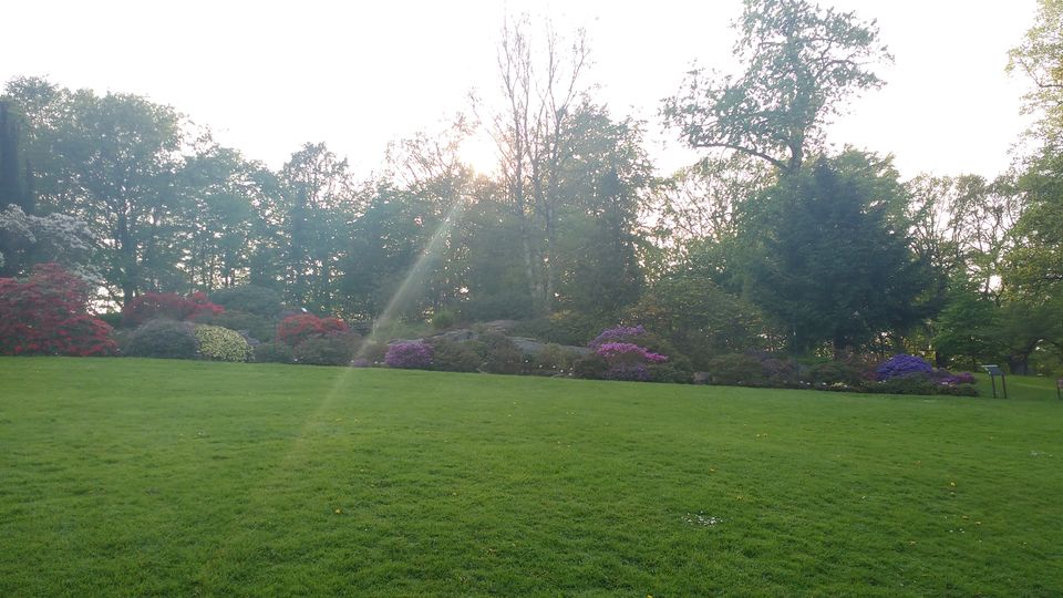 Photo of Göteborg Botaniska Trädgården, Gothenburg, Sweden by theuncanny_traveller