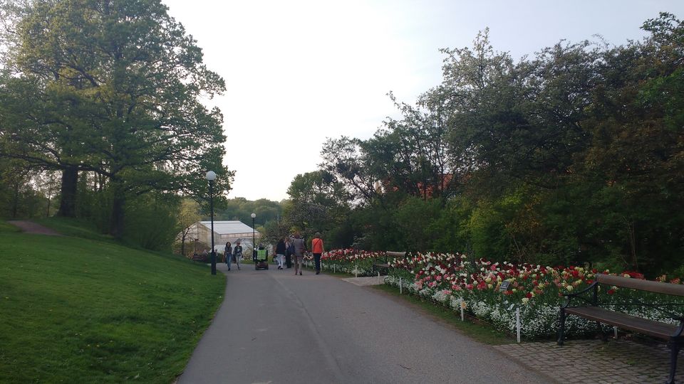 Photo of Göteborg Botaniska Trädgården, Gothenburg, Sweden by theuncanny_traveller