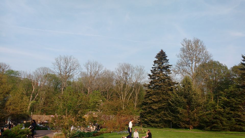 Photo of Göteborg Botaniska Trädgården, Gothenburg, Sweden by theuncanny_traveller