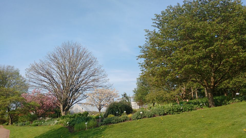 Photo of Göteborg Botaniska Trädgården, Gothenburg, Sweden by theuncanny_traveller