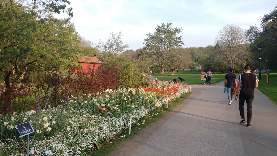 Photo of Göteborg Botaniska Trädgården, Gothenburg, Sweden by theuncanny_traveller